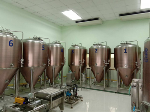 Tajska 500L pivovarna